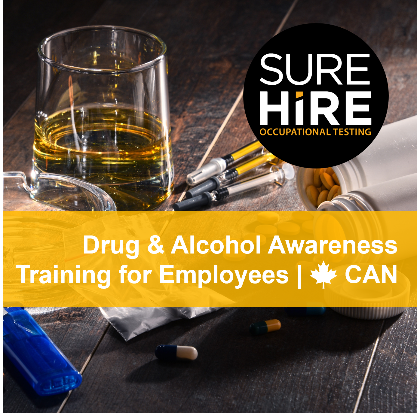 Drug & Alcohol Awareness Training for Employees (Canada) 2023